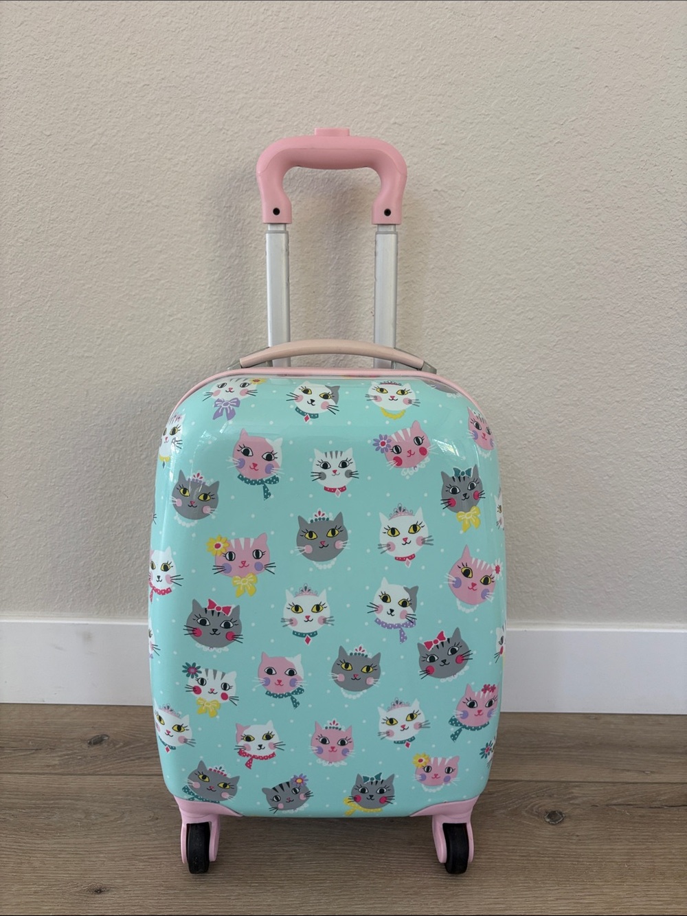 Pottery Barn Mackenzie Pink & Aqua Cat Hard Sided Carry-On Luggage
